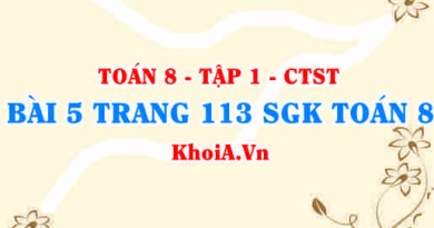 Bài 5 trang 113 SGK Toán 8 Tập 1 Chân trời sáng tạo